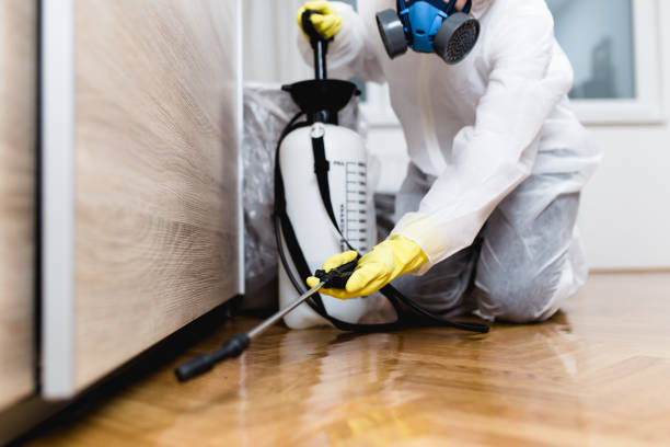 Pest Prevention Services in Babbitt, MN