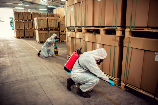 Best Ant Control Services  in Babbitt, MN